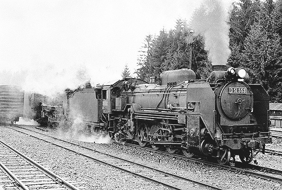 D51553