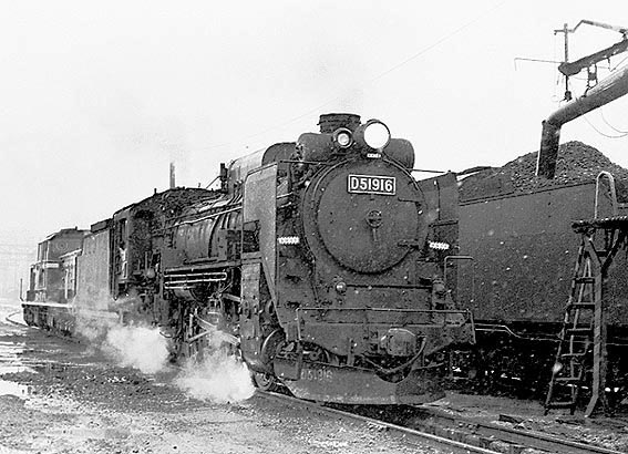 D51916